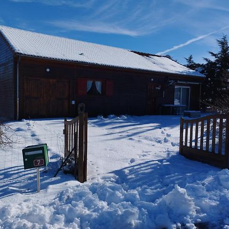 Chalet Les Adrets Du Sancy Saint-Diery Eksteriør billede