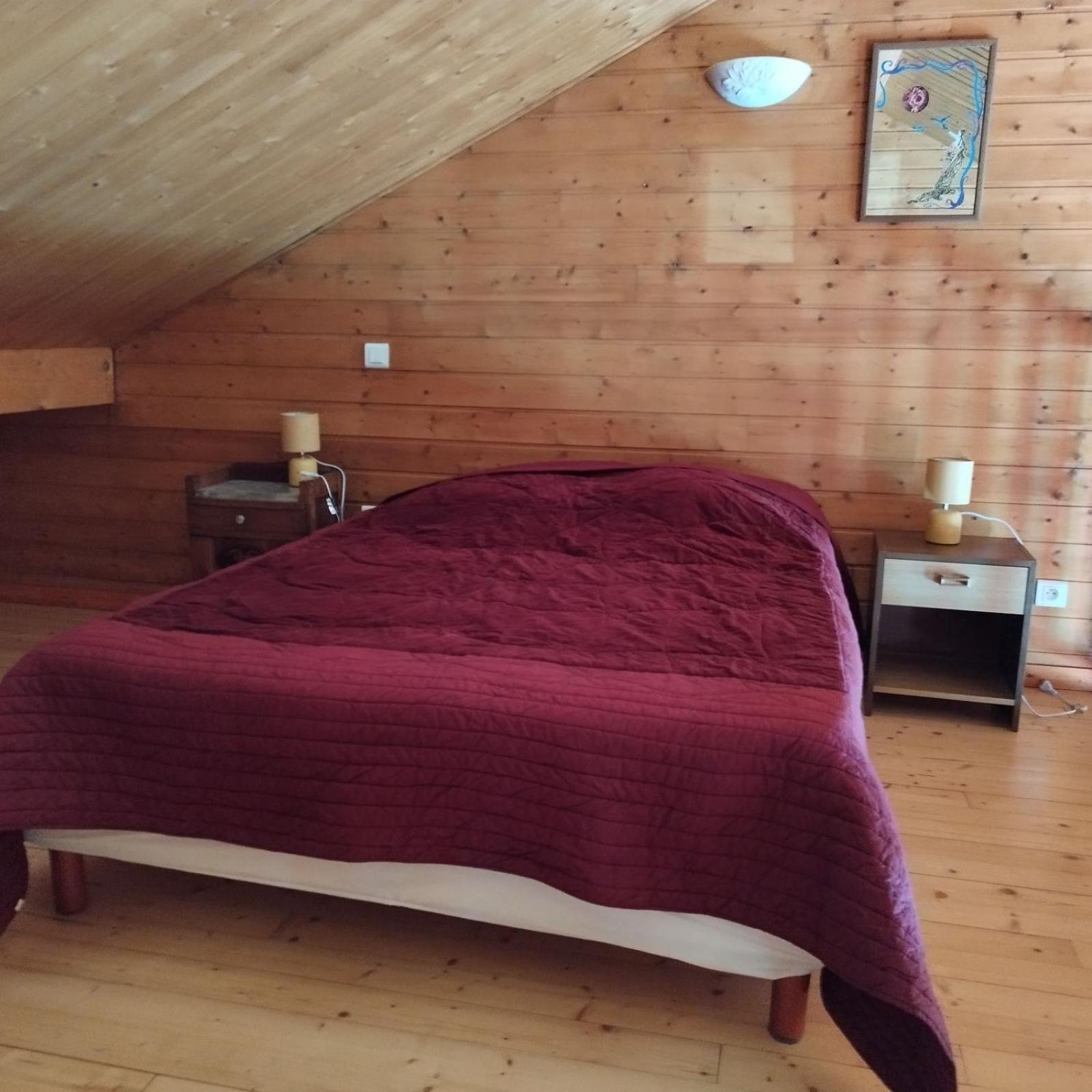 Chalet Les Adrets Du Sancy Saint-Diery Eksteriør billede
